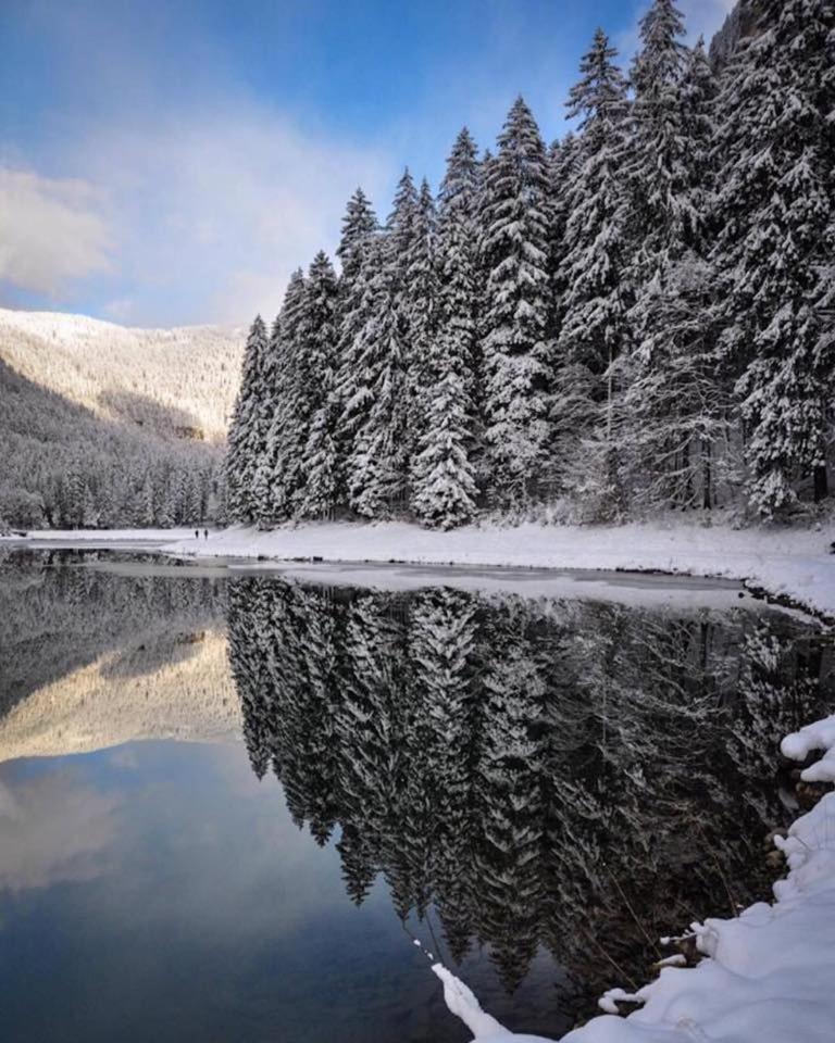Chalet Adonis - Montriond, Morzine, Avoriaz المظهر الخارجي الصورة