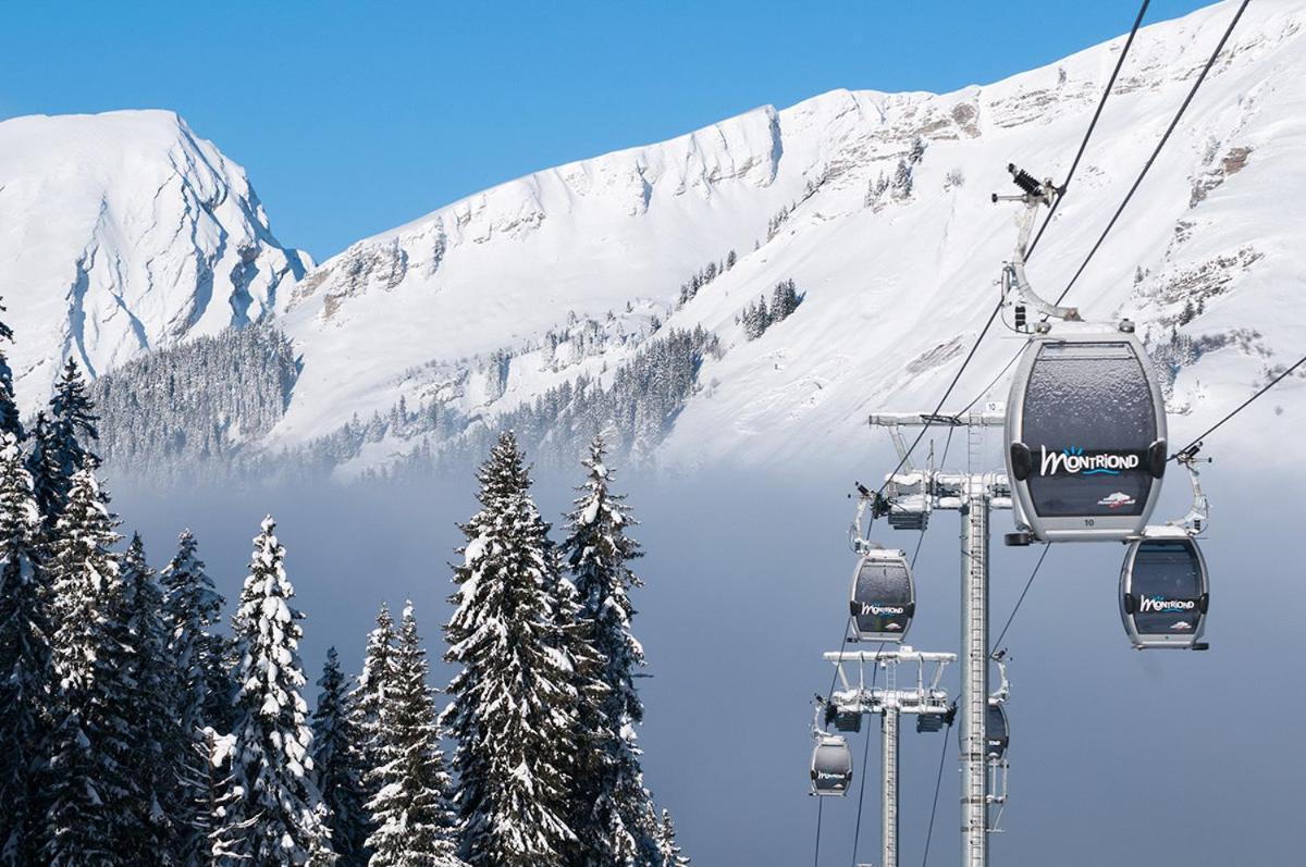 Chalet Adonis - Montriond, Morzine, Avoriaz المظهر الخارجي الصورة